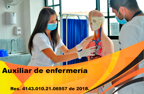 Auxiliar en Enfermeria®
